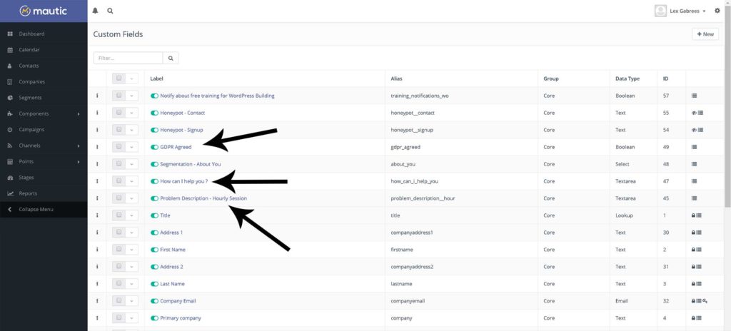 Mautic Custom Form Fields